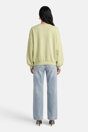 Pull vert à col rond de Terra di Siena, vu de dos, à manches longues et coupe décontractée.