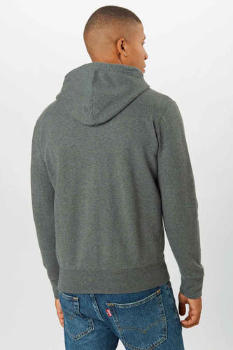 Pull-over gris de Levi's, avec un capuchon, vu par derrière, associé à un jean bleu.