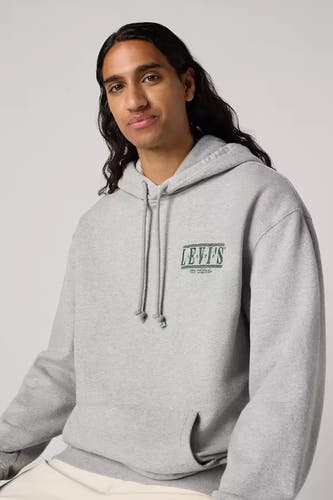 Grijze sweater met kap van Levi's, met logo op de borst en trekkoorden.