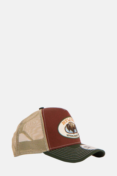Casquette multicolore de New Era, avec un blème bison à l'avant.