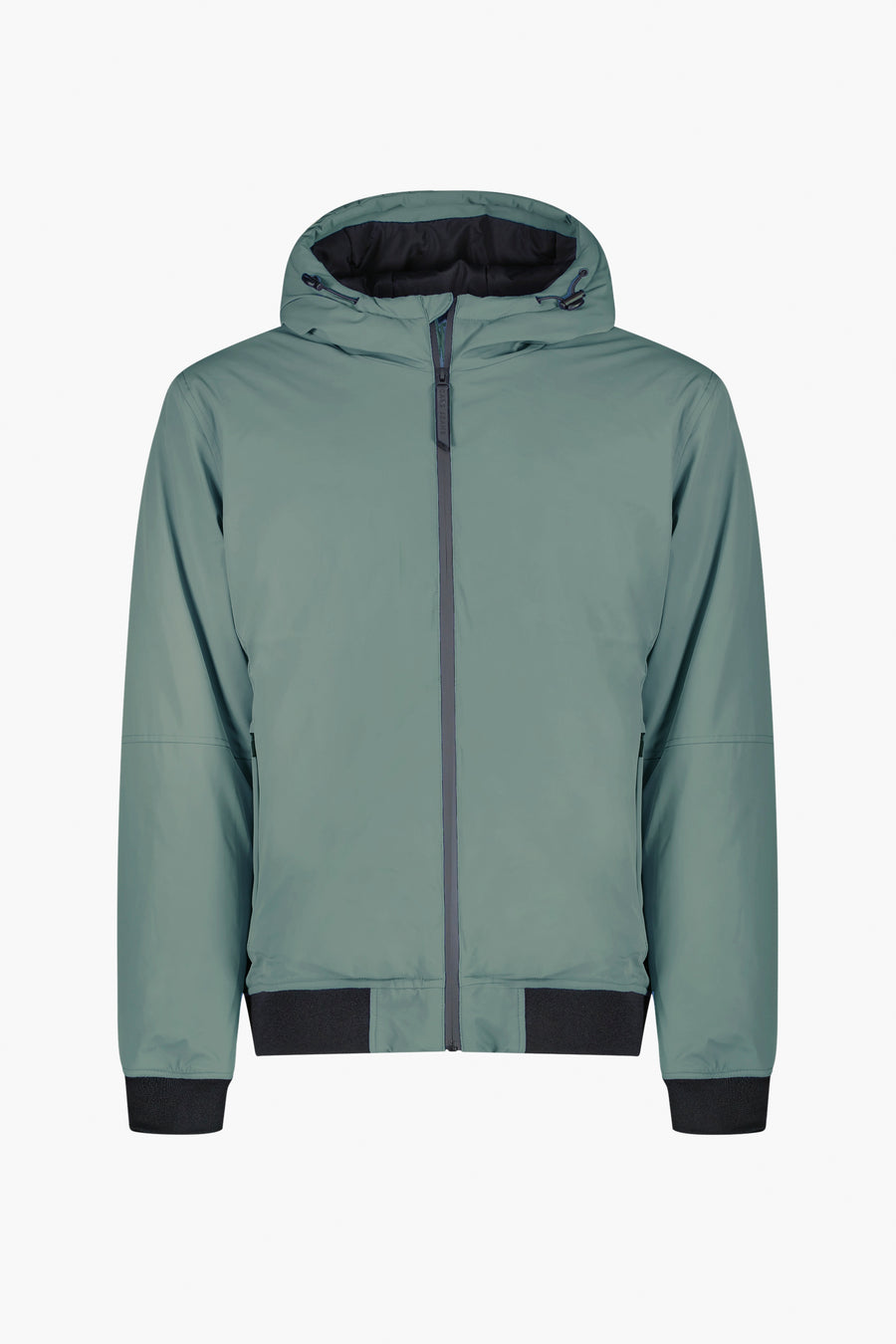 Veste courte - vert - Cars