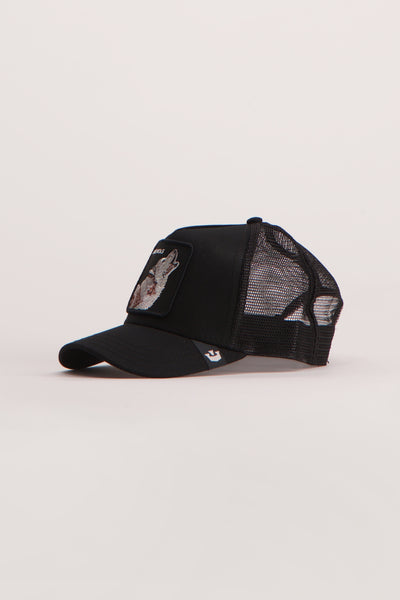 Casquette Noir - GOORIN