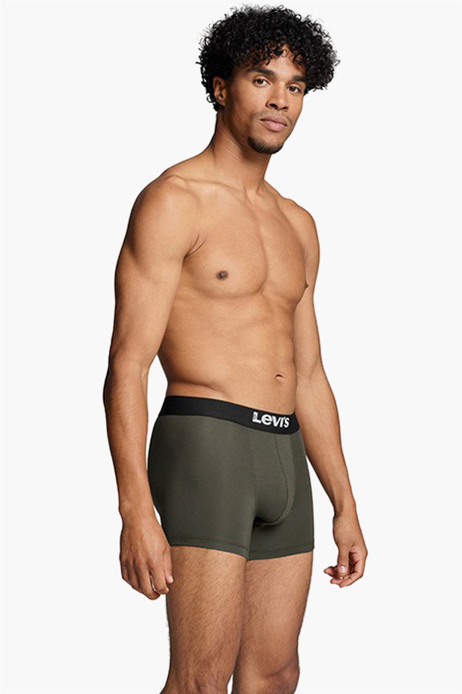 Boxers - vert