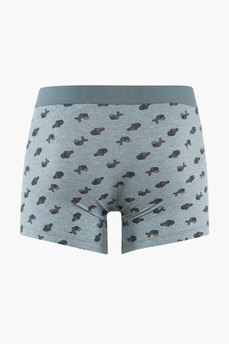 Boxers - bleu