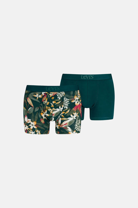 Boxers - vert