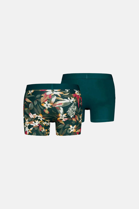 Boxers - vert