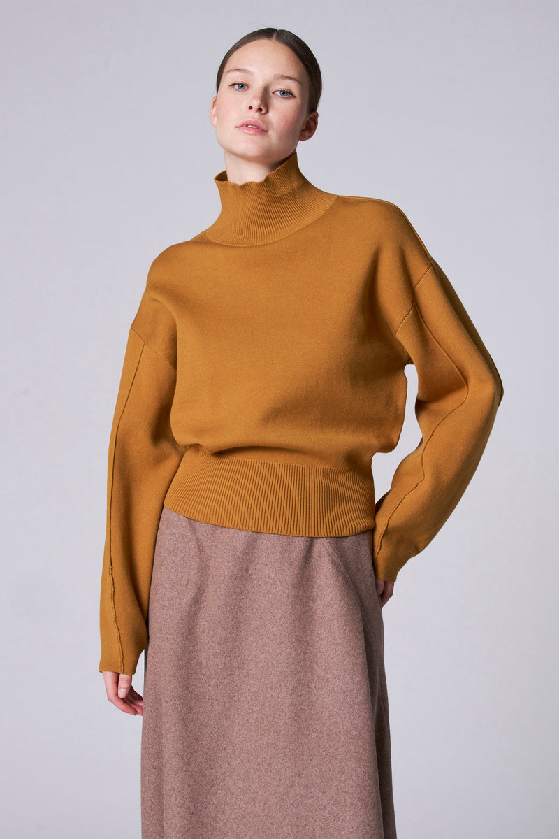 Pull à col roulé - vert
