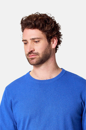 Pull à col rond - bleu - Bruce & Butler