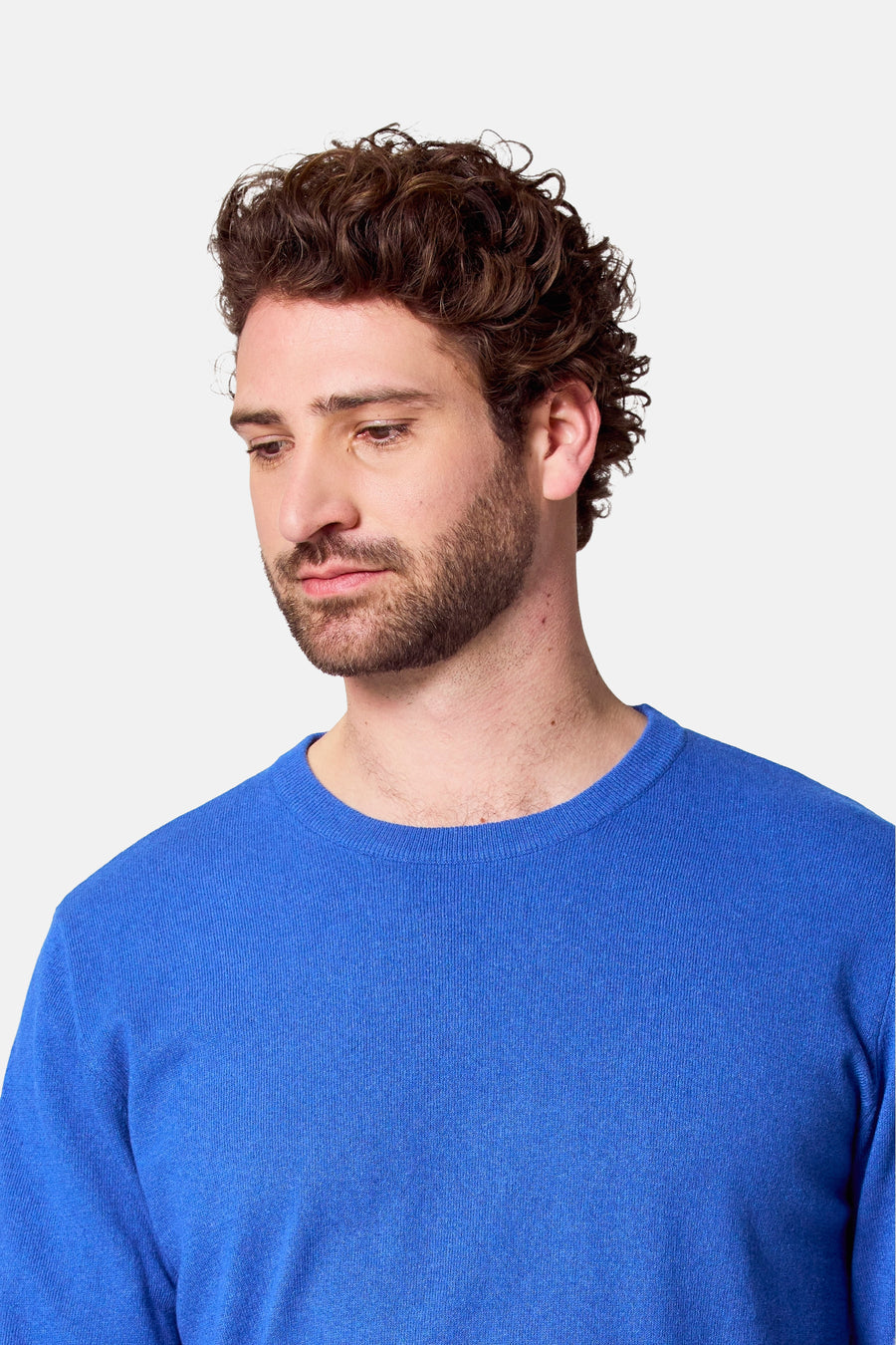 Pull à col rond - bleu - Bruce & Butler