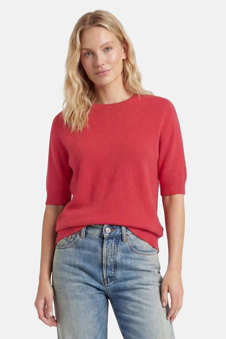 Pull - rose
