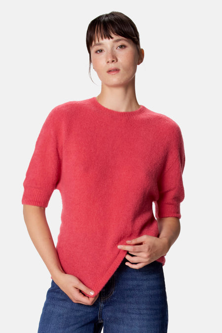 Pull - rose