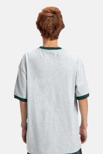Grijs T-shirt met korte mouwen van DC SHOES, met groene kraag en mouwboorden.