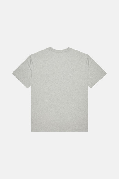 T-shirt (manches courtes) gris - DC SHOES