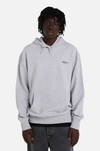 Pull-over gris avec capuche d'ELEMENT, vu de dos avec des dreadlocks et un pantalon foncé.