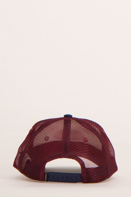 Casquette Multicolore - ELEMENT