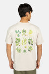T-shirt (manches courtes) Écru - ELEMENT