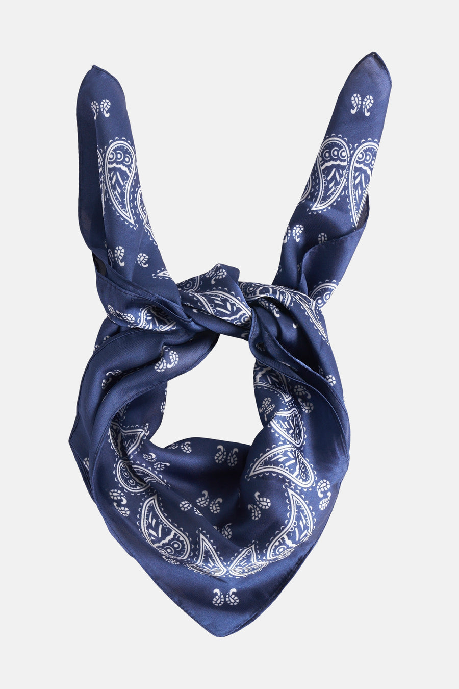 Foulard - bleu - Access®