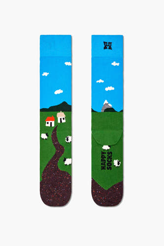 Chaussettes - multicolores