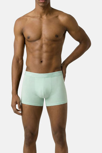 Slip lichtgroen van Calvin Klein, gedragen door een man met ontbloot bovenlijf.