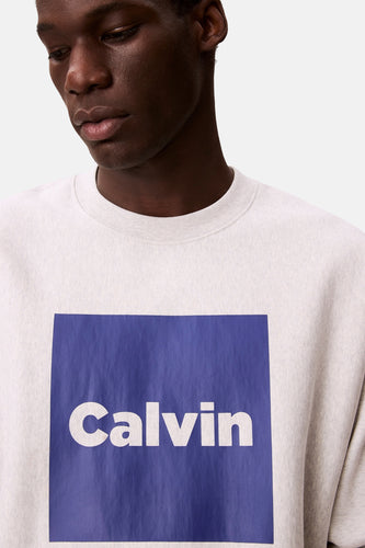Sweat - gris - Calvin Klein - 6
