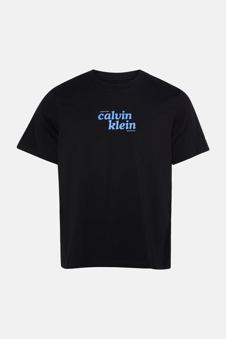 Zwart korte mouwen T-shirt van Calvin Klein met blauw logo op borst, ronde hals, front view