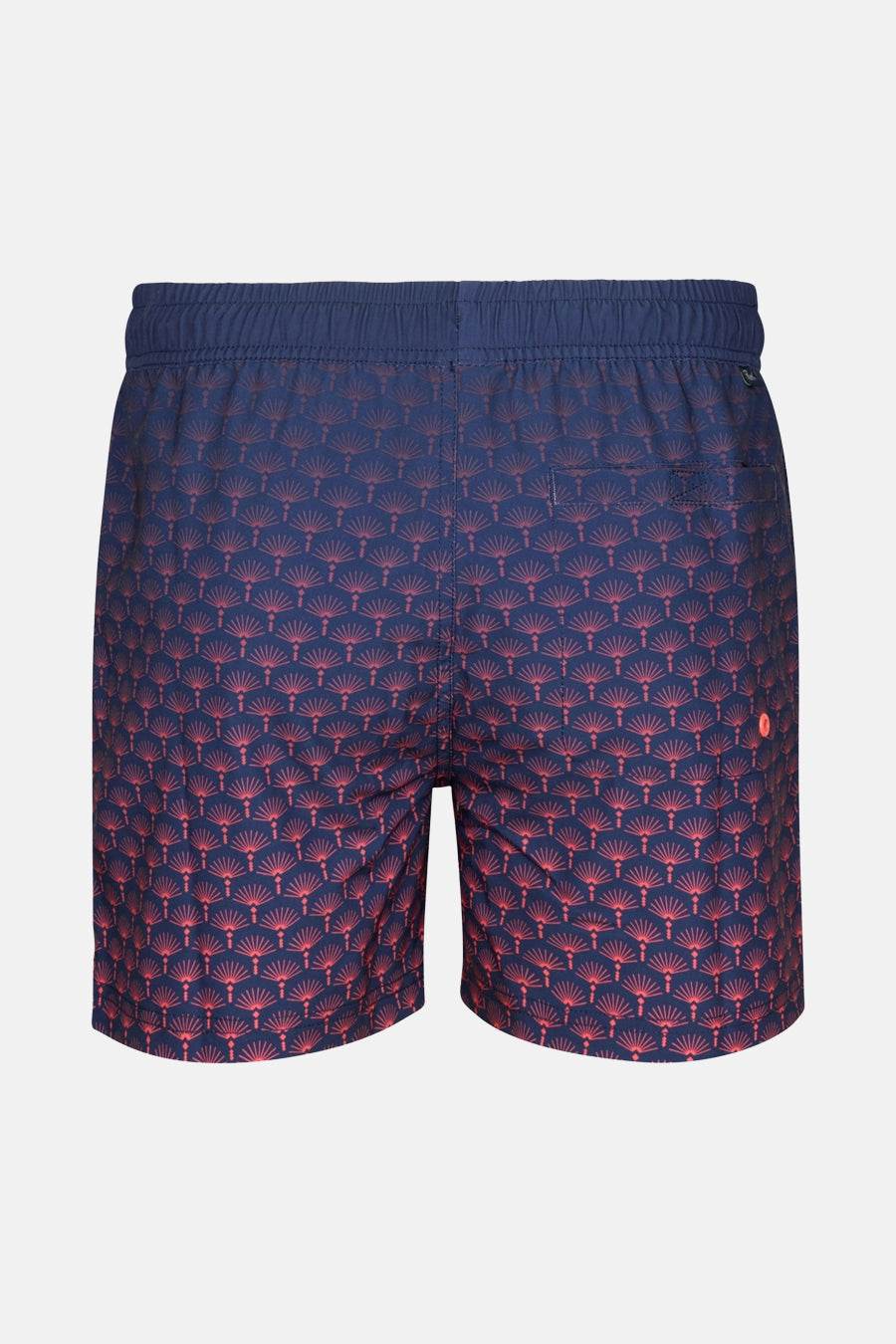 Short de bain - Bleu - Petrol Industries®