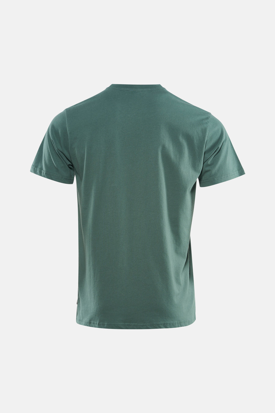 T-shirt vert à manches courtes de Petrol Industries, avec un design uni, vu de dos, combiné avec un jean gris foncé.