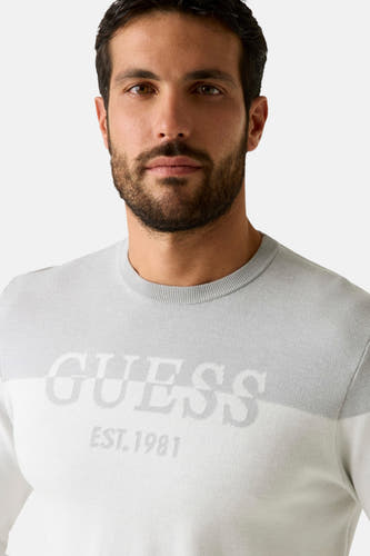Sweat-shirt gris avec col rond de Guess, avec une zone blanche et un logo sur la poitrine.
