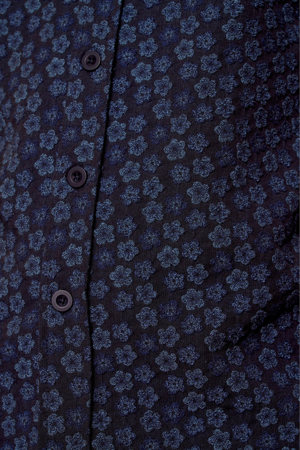 Bermuda Bleu - Le Fabuleux Marcel de Bruxelles