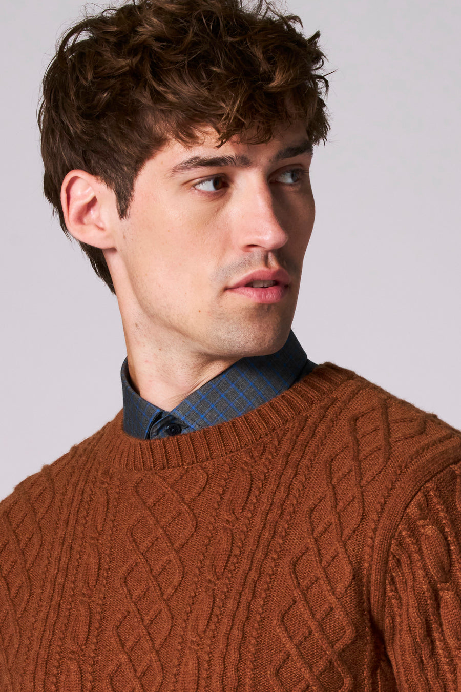 Pull à col rond - brun - Le Fabuleux Marcel de Bruxelles