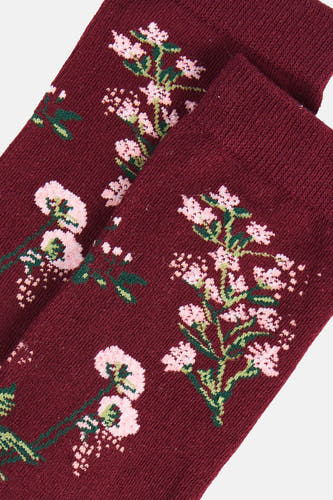 Chaussettes - violet