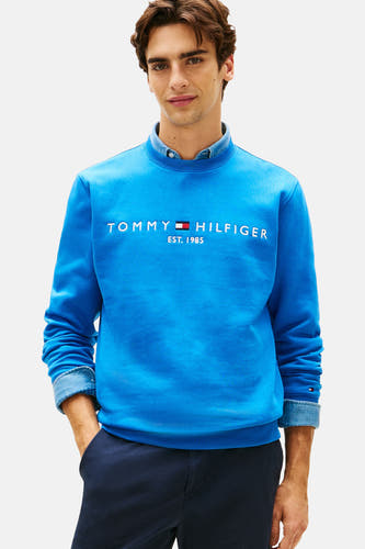 Pull bleu à col rond Tommy Hilfiger, à manches longues et avec logo sur la poitrine.