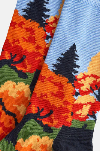 Chaussettes bleues de Happy Socks avec un motif d'automne en orange, rouge, vert et bleu marine.