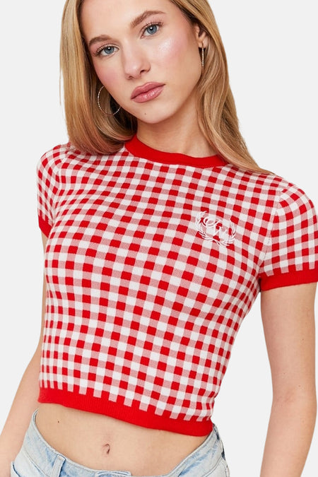 Pull-over rouge avec col rond de TALLY WEIJL, doté d'un motif à carreaux rouge et blanc et d'un logo brodé.