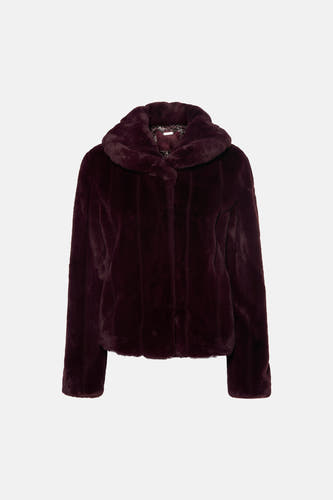 Veste - violet