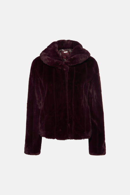 Veste - violet