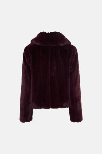 Veste - violet