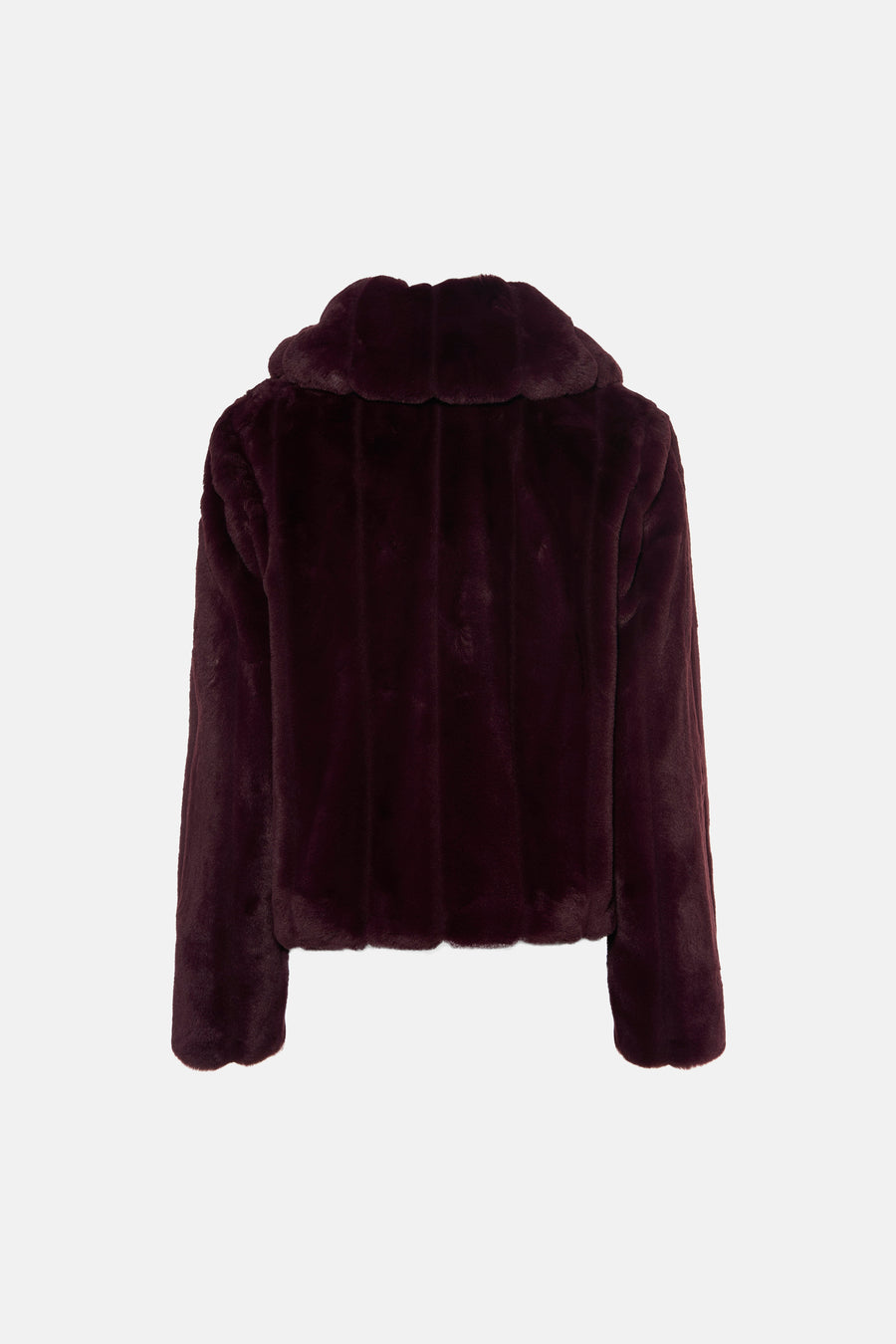 Veste - violet