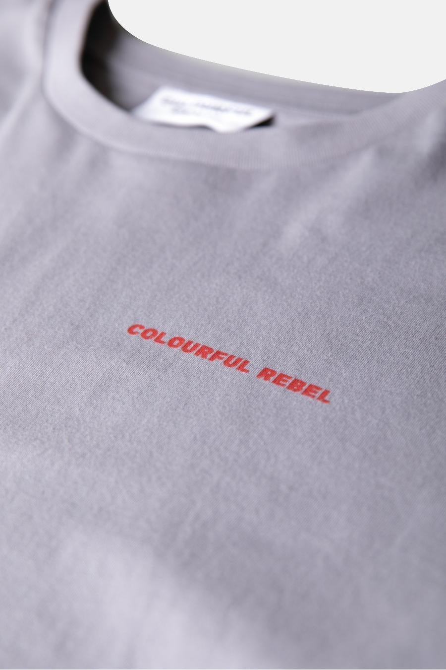 T-shirt gris à manches courtes de COLOURFUL REBEL, avec une impression de texte rouge sur la poitrine et un col rond simple.