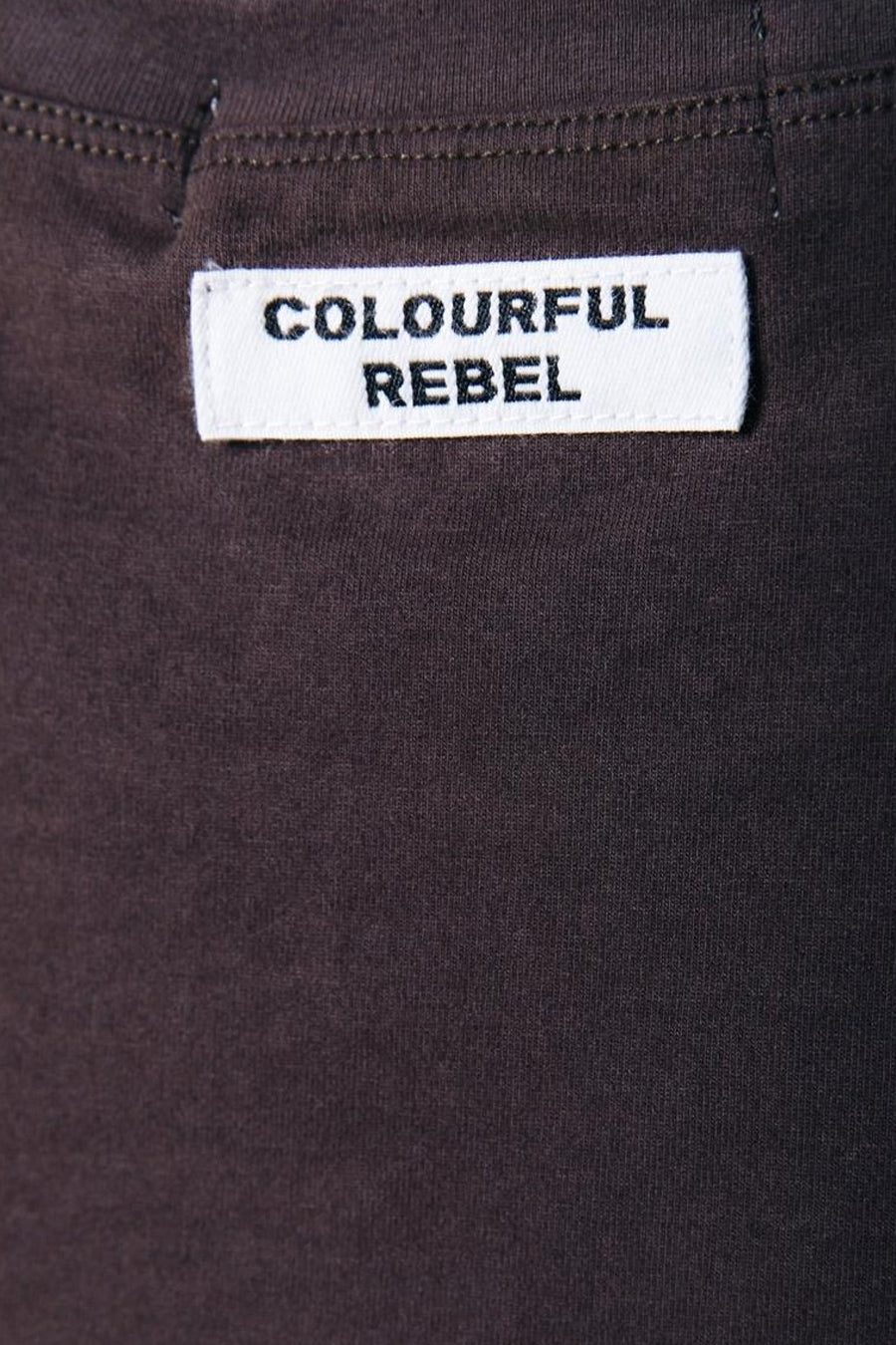T-shirt à manches longues de couleur marron de COLOURFUL REBEL, avec une couleur unie et un détail d'étiquette sur le dessus.